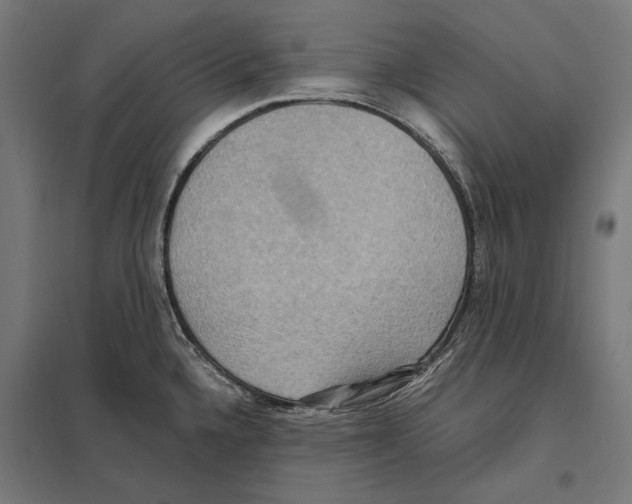 X0000097601336200803280942