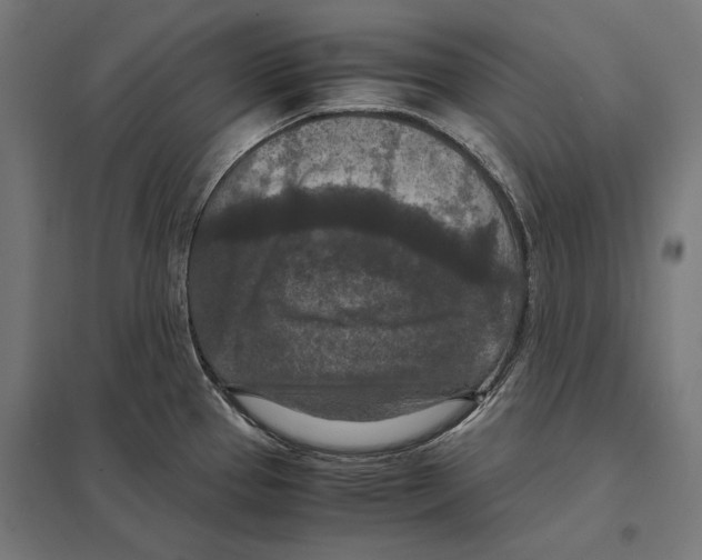 X0000097601337200803280942