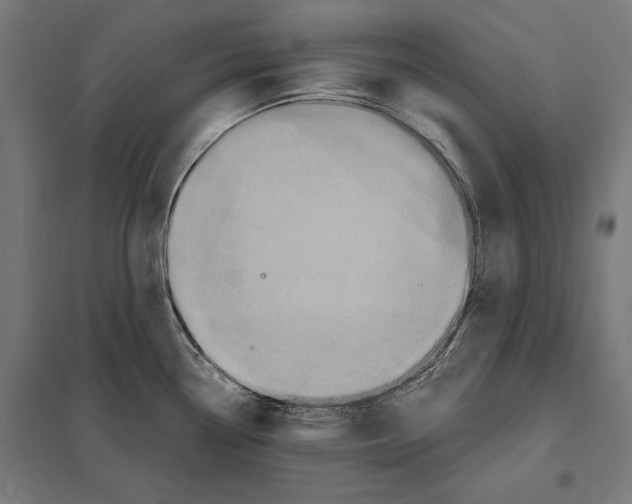 X0000097601338200803280942