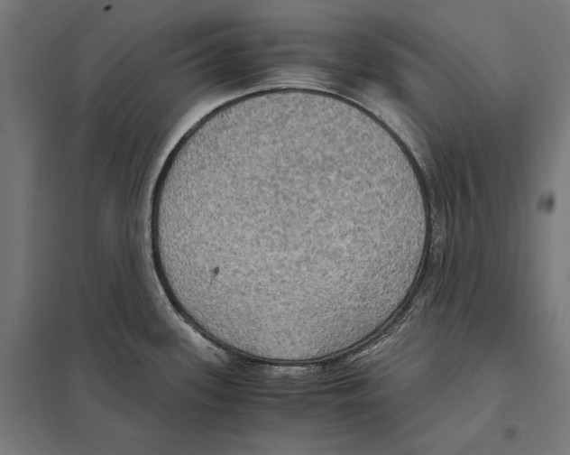 X0000097601339200803280942