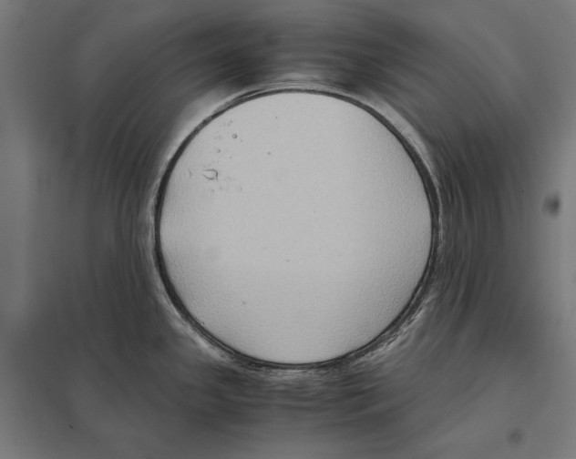 X0000097601341200803280942