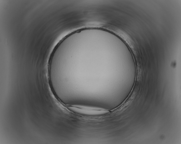 X0000097601342200803280942