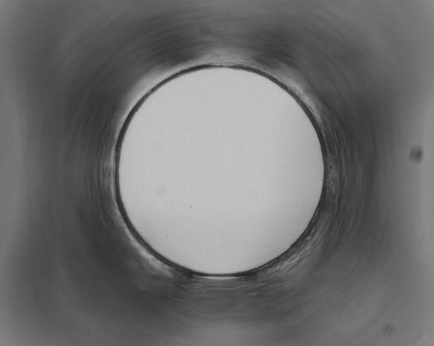 X0000097601343200803280942