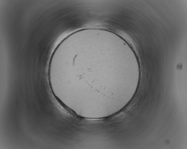 X0000097601344200803280942