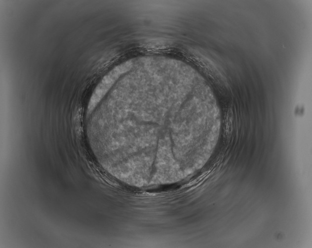 X0000097601346200803280941