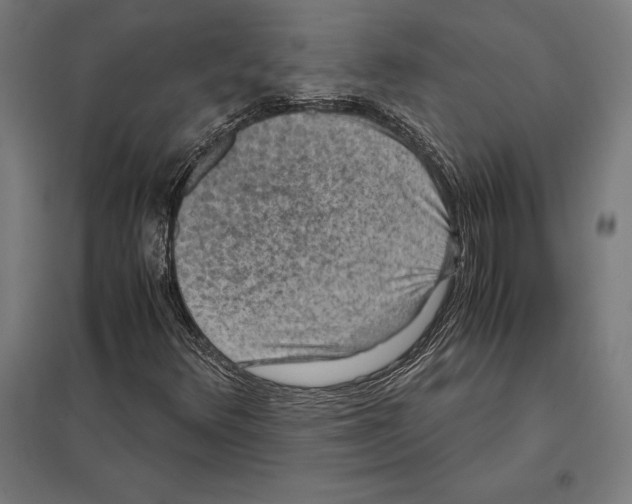 X0000097601348200803280941