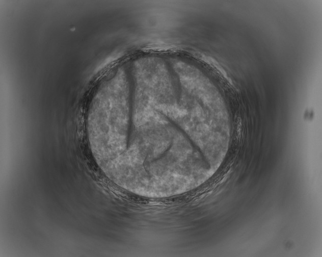 X0000097601350200803280941