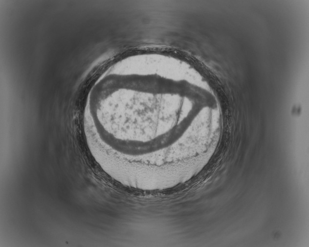 X0000097601351200803280941