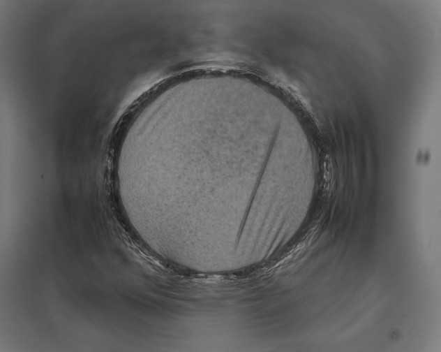 X0000097601352200803280941