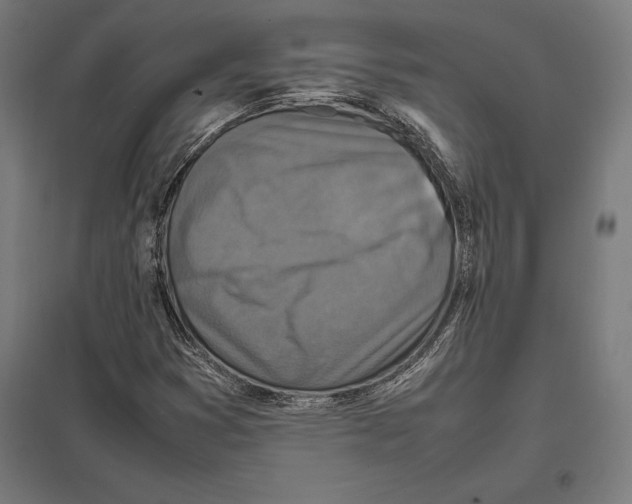 X0000097601353200803280941