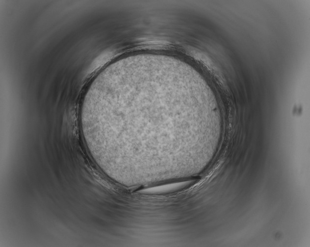 X0000097601354200803280941