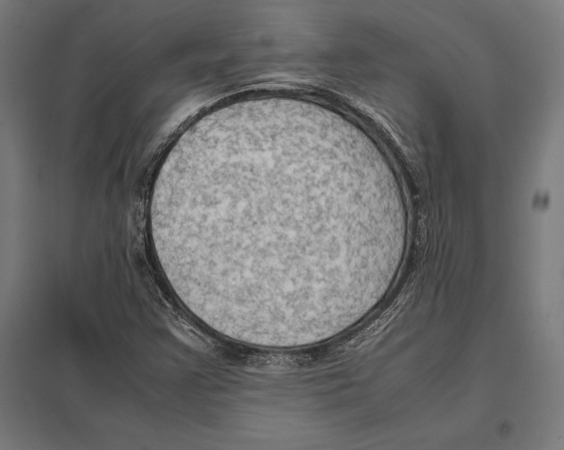 X0000097601355200803280941