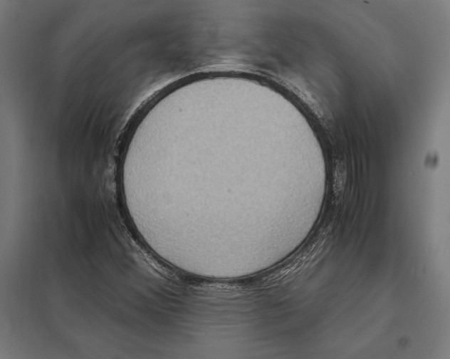 X0000097601356200803280941