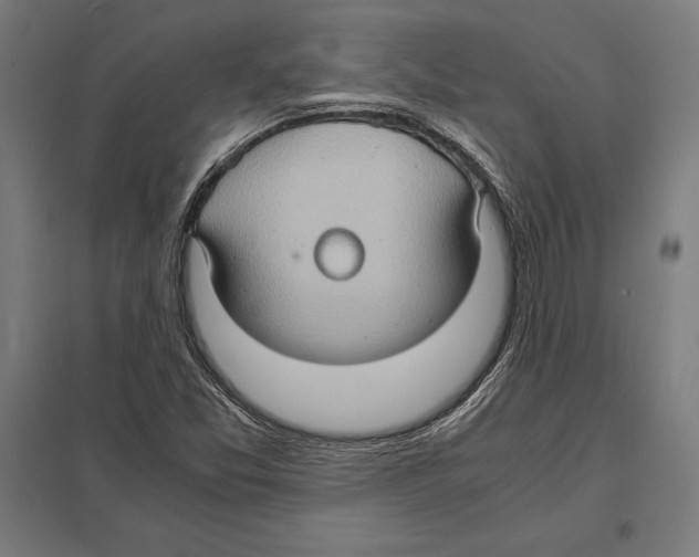 X0000097601357200803280941