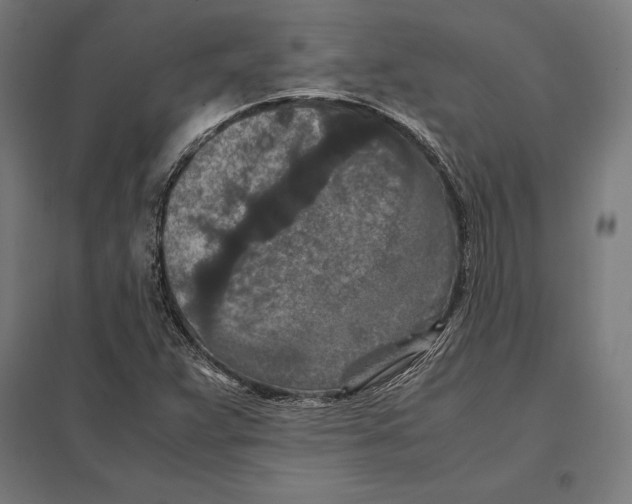 X0000097601359200803280941