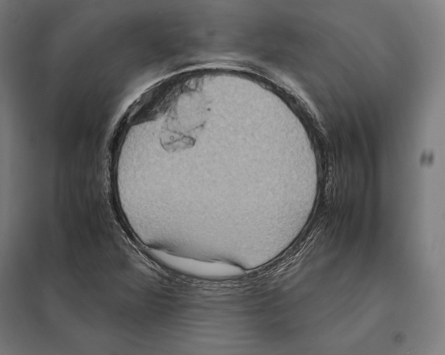 X0000097601360200803280941