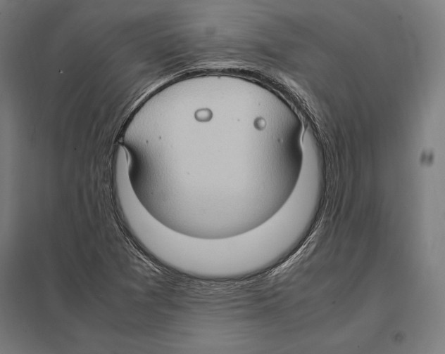 X0000097601361200803280941