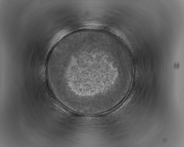 X0000097601362200803280941