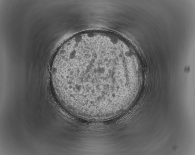 X0000097601363200803280941