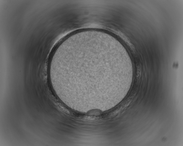 X0000097601364200803280941