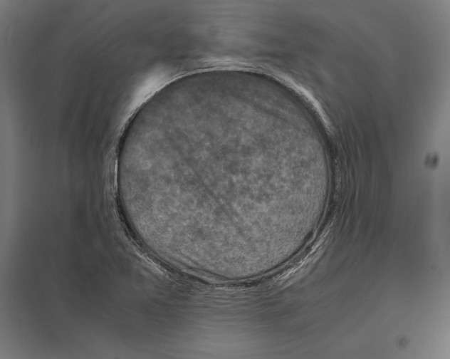 X0000097601365200803280941