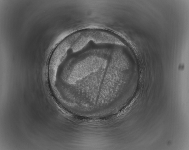 X0000097601367200803280941