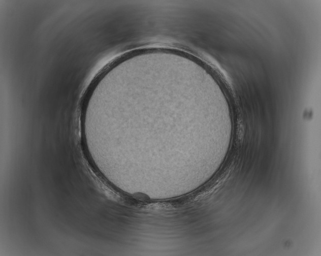 X0000097601368200803280941