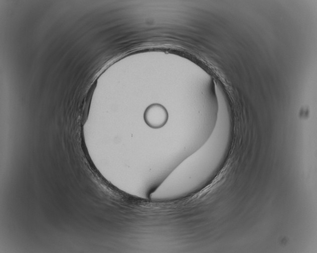 X0000097601369200803280941