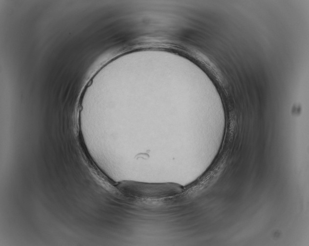 X0000097601370200803280941