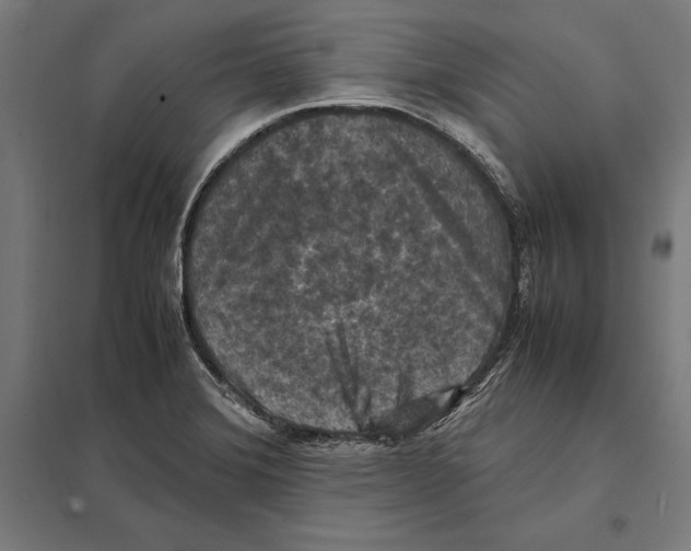 X0000097601372200803280941