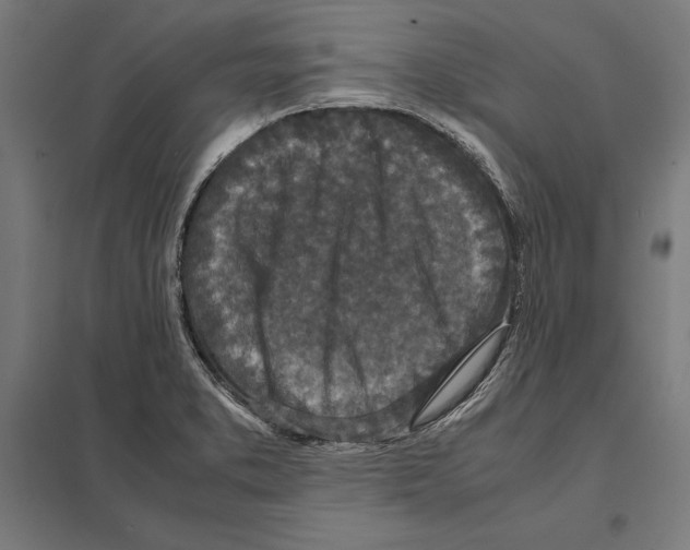 X0000097601373200803280941