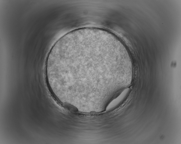 X0000097601375200803280941