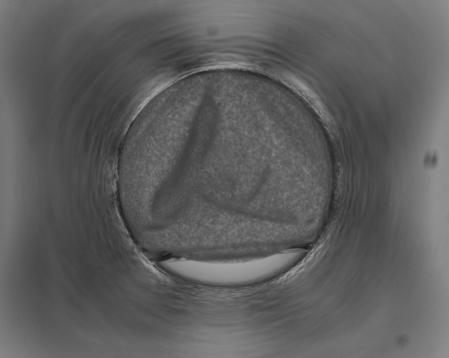 X0000097601377200803280941