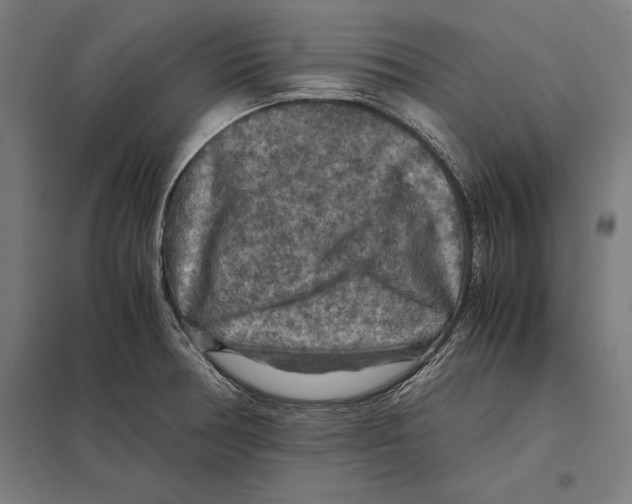 X0000097601378200803280941