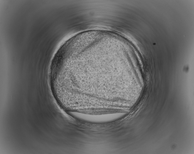 X0000097601379200803280941