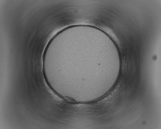 X0000097601380200803280941