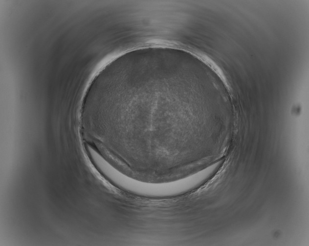 X0000097601381200803280941