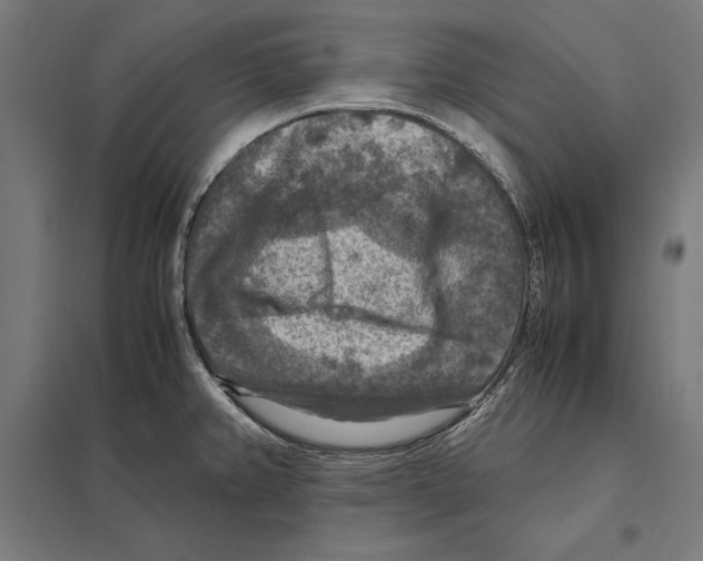 X0000097601382200803280941