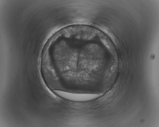 X0000097601383200803280941