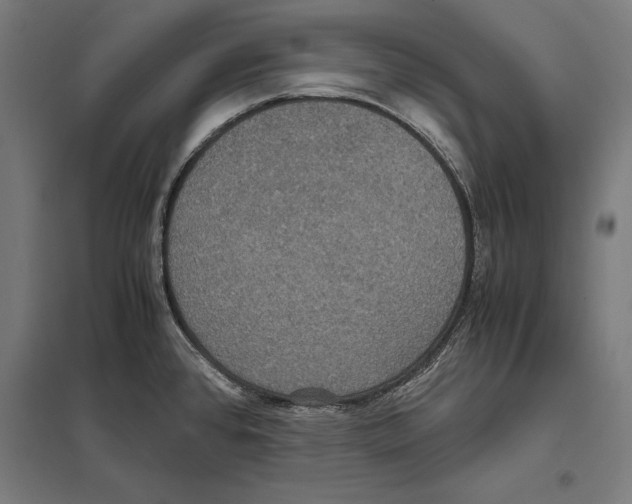 X0000097601384200803280941