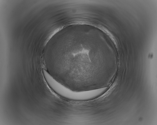 X0000097601385200803280941