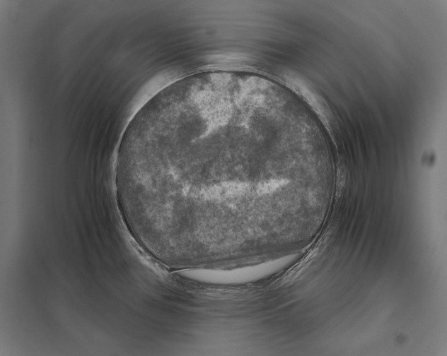 X0000097601386200803280941