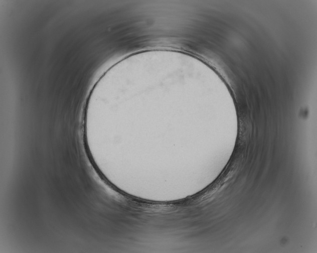 X0000097601387200803280941