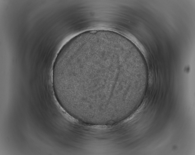 X0000097601388200803280941