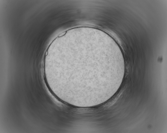 X0000097601391200803280941