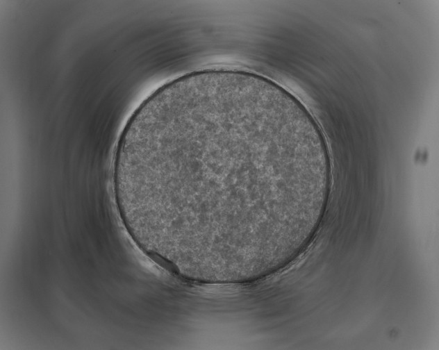 X0000097601392200803280940