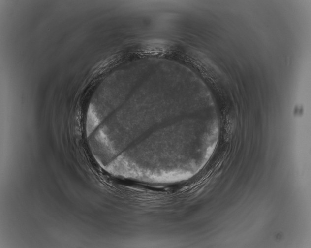 X0000097601394200803280940