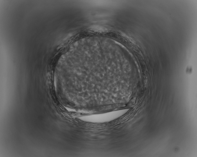 X0000097601397200803280940