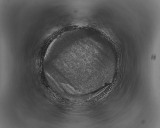 X0000097601398200803280940