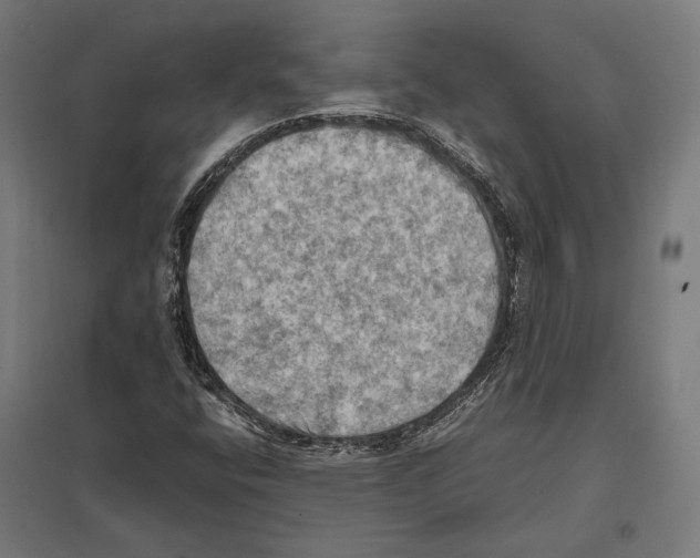 X0000097601400200803280940